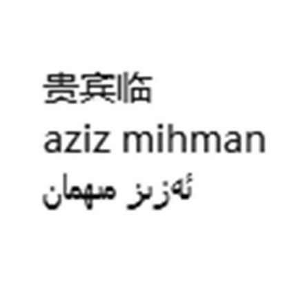 贵宾临;AZIZ MIHMAN