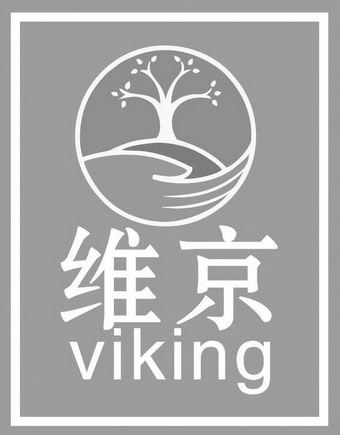 维京 VIKING;VIKING