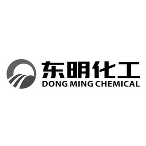 东明化工 DONG MING CHEMICAL;DONG MING CHEMICAL