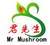 君先生  MR MUSHROOM;MR MUSHROOM