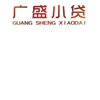 广盛小贷;GUANGSHENGXIAODAI