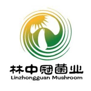 林中冠菌业 LINZHONGGUAN MUSHROOM;LINZHONGGUANMUSHROOM