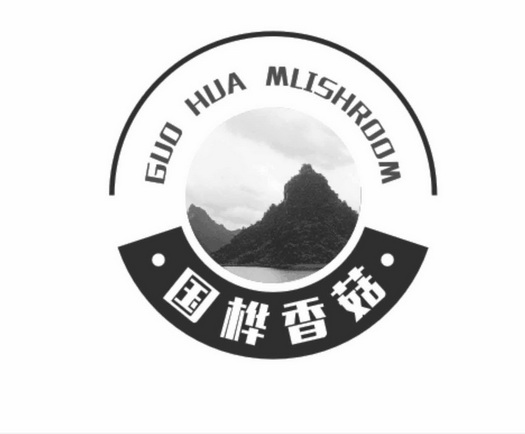 国桦香菇 GUO HUA MLISHROOM;MLISHROOM