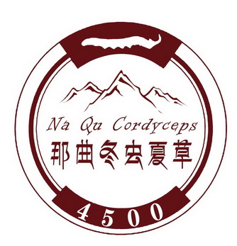 那曲冬虫夏草;NA QU CORDYCEPS 4500