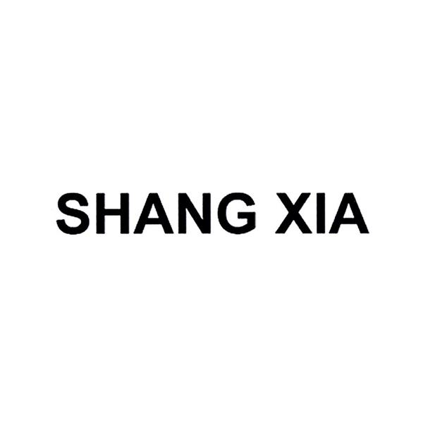 SHANG XIA;SHANG XIA