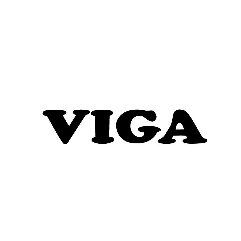 VIGA;VIGA