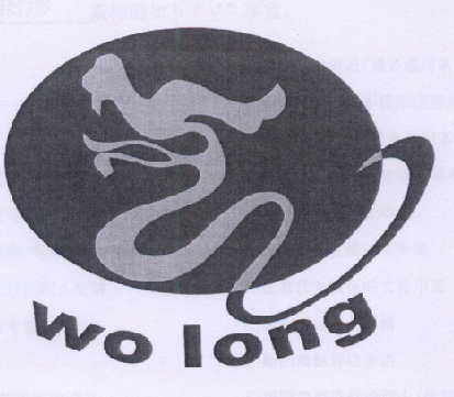 WO LONG;WOLONG