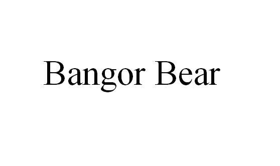 BANGOR BEAR;BANGORBEAR