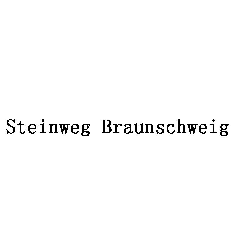 STEINWEG BRAUNSCHWEIG;STEINWEGBRAUNSCHWEIG