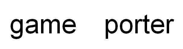 GAME PORTER;GAME PORTER