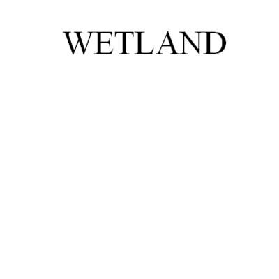 WETLAND;WETLAND