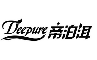 DEEPURE 帝泊洱;DEEPURE