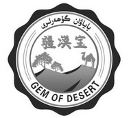 疆漠宝 GEM OF DESERT;GEM OF DESERT