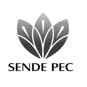 SENDE  PEC;SENDEPEC