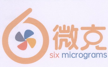 微克;SIX MICROGRAMS 6