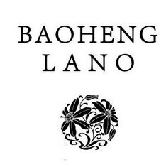 BAOHENG LANO;BAOHENG LANO