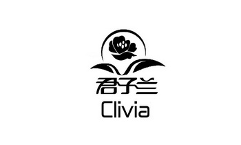 君子兰 CLIVIA;CLIVIA