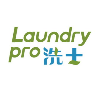 洗士 LAUNDRY PRO;LAUNDRY PRO