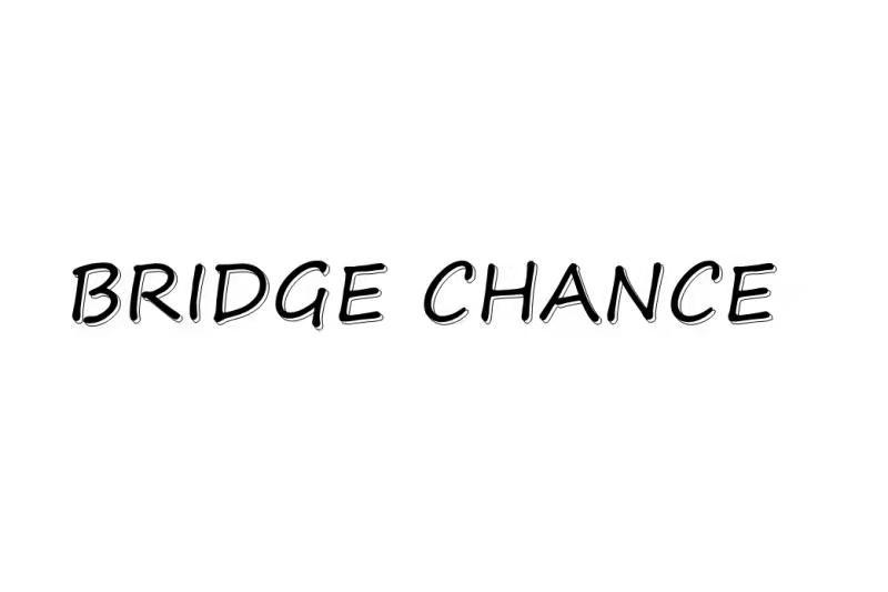 BRIDGE CHANCE;BRIDGE CHANCE