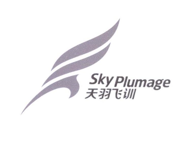 天羽飞训;SKY PLUMAGE