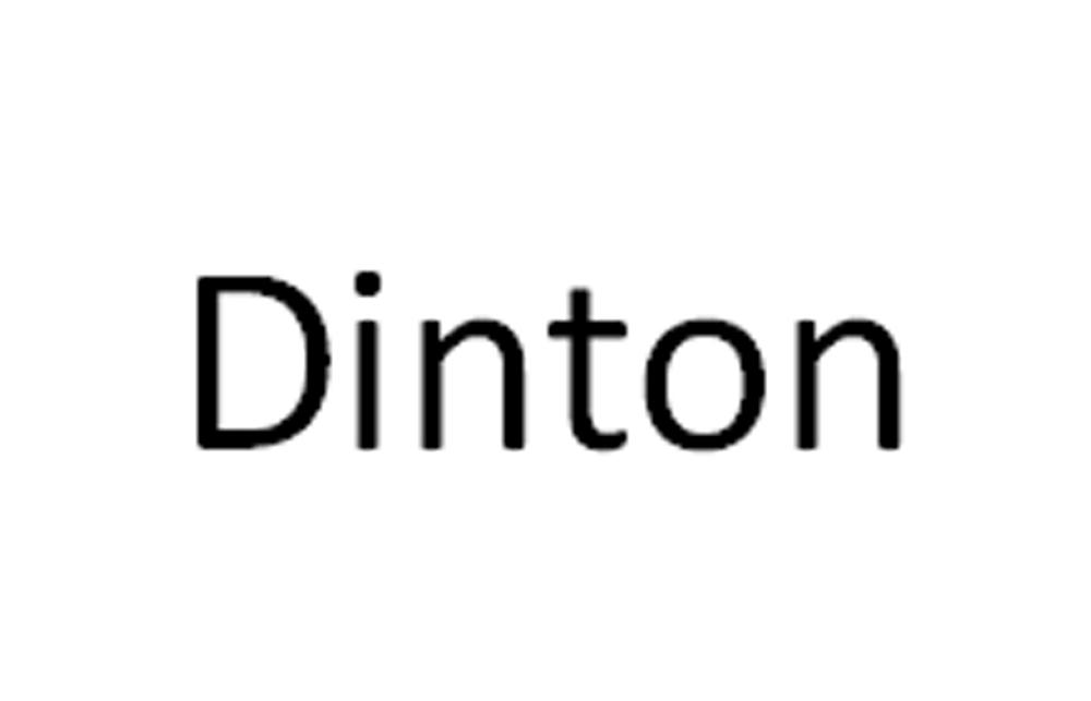 DINTON;DINTON