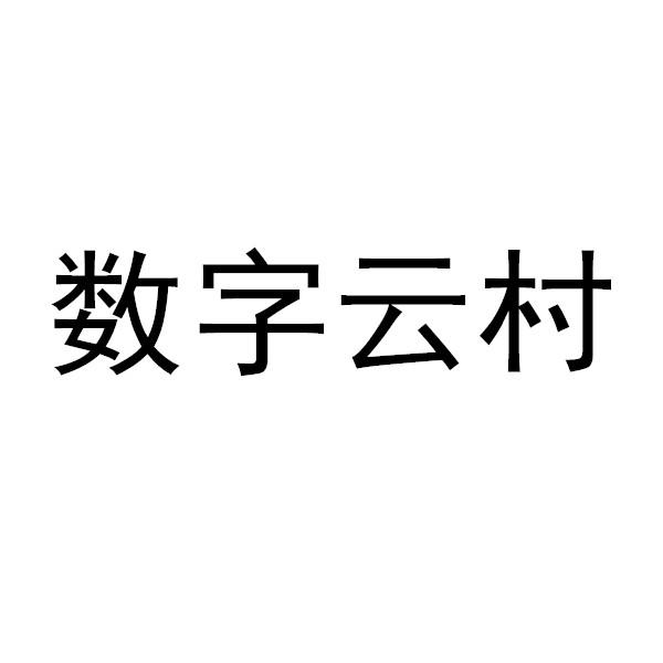 数字云村