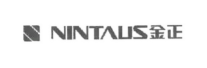 金正  NINTAUS;NINTAUS