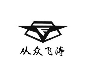 从众飞涛 FT;FT