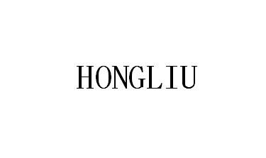 HONGLIU;HONGLIU