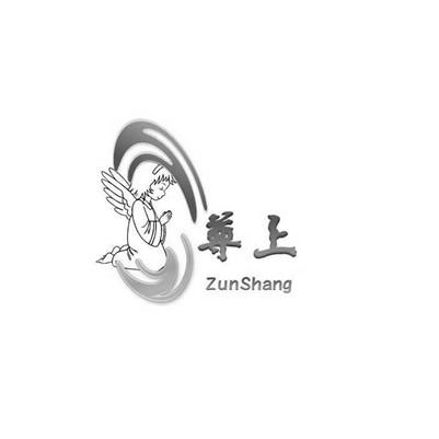 尊上;ZUNSHANG