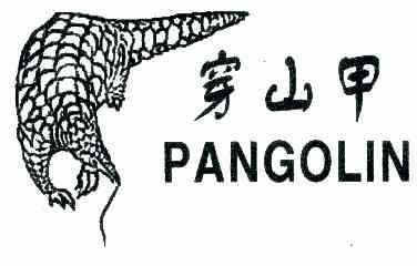 穿山甲;PANGOLIN;PANGOLIN