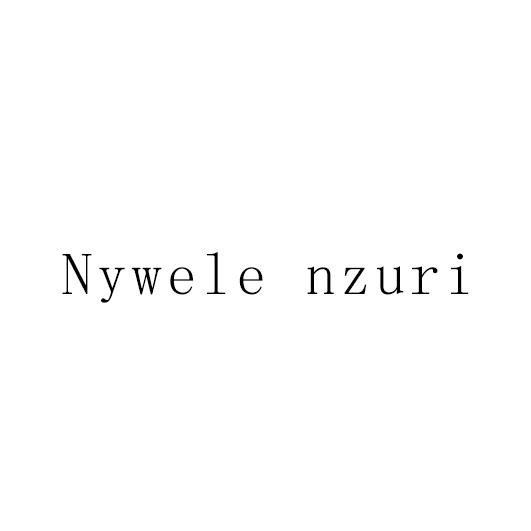 NYWELE NZURI;NYWELE NZURI