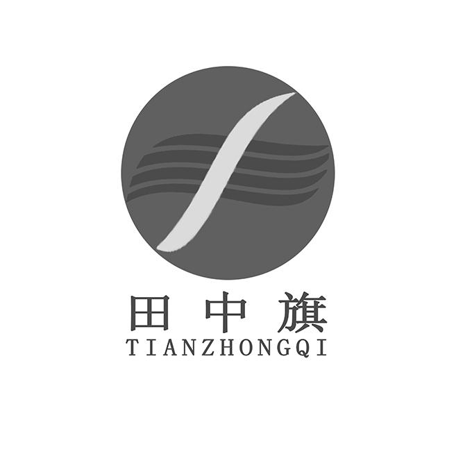 田中旗;TIANZHONGQI