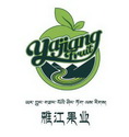 雅江果业 YAJIANG FRUIT;YAJIANG FRUIT