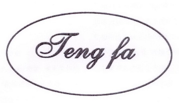 TENG FA;TENGFA