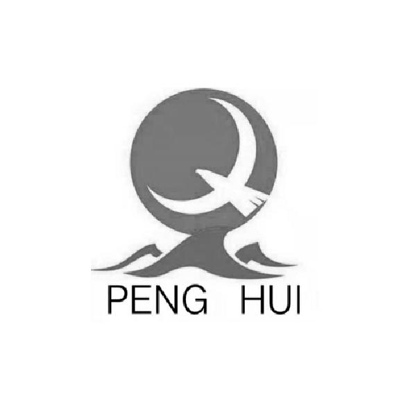 PENG HUI;PENG HUI