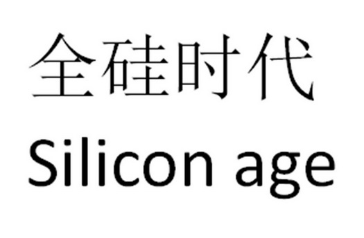 全硅时代;SILICON AGE