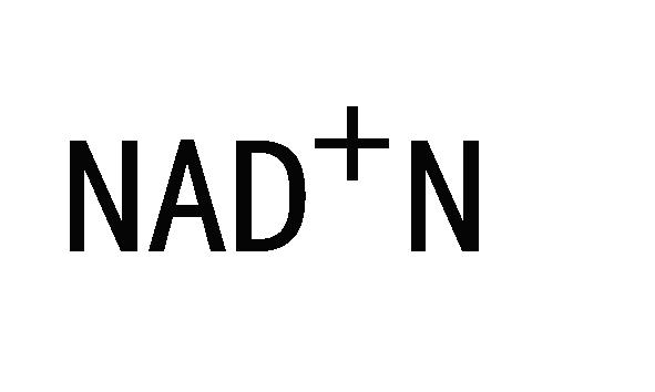 NAD＋N;NAD N