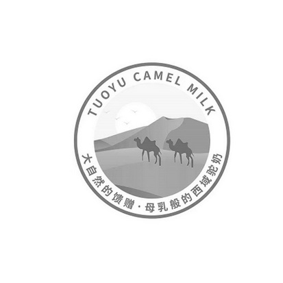 大自然的馈赠母乳般的西域驼奶;TUOYU CAMEL MILK