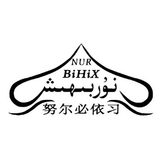 努尔必依习 NUR BIHIX;NUR BIHIX