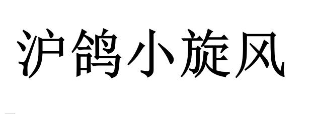 沪鸽小旋风