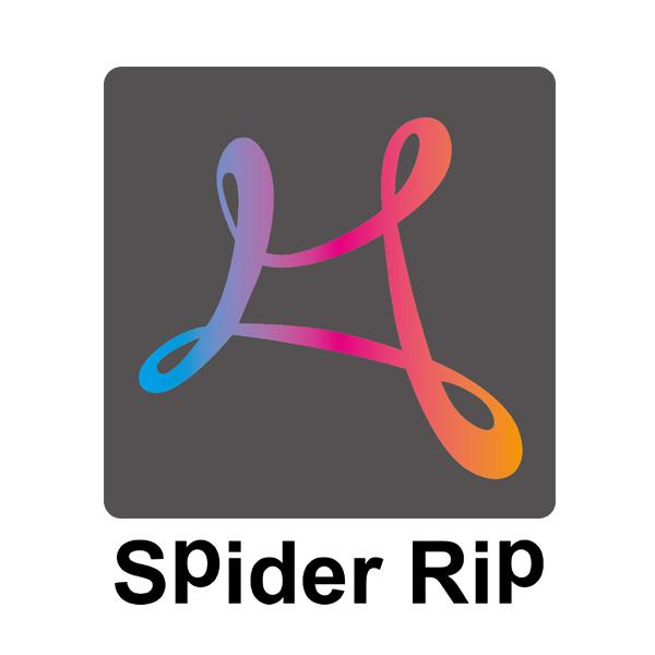 SPIDER RIP;SPIDER RIP