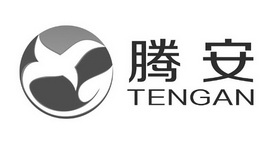 腾安;TENGAN