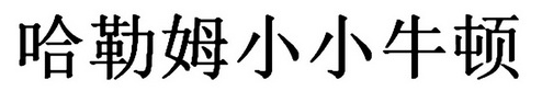 哈勒姆小小牛顿