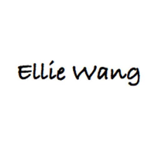 ELLIE WANG;ELLIE WANG