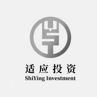 适应投资;SHIYING INVESTMENT