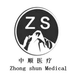 中顺医疗 ZS ZHONGSHUN MEDICAL;ZS ZHONGSHUN MEDICAL