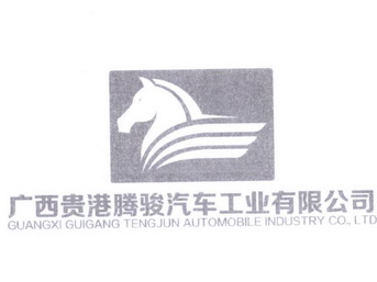 广西贵港腾骏汽车工业有限公司;GUANGXI GUIGANG TENGJUN AUTOMOBILE INDUSTRY COLTD