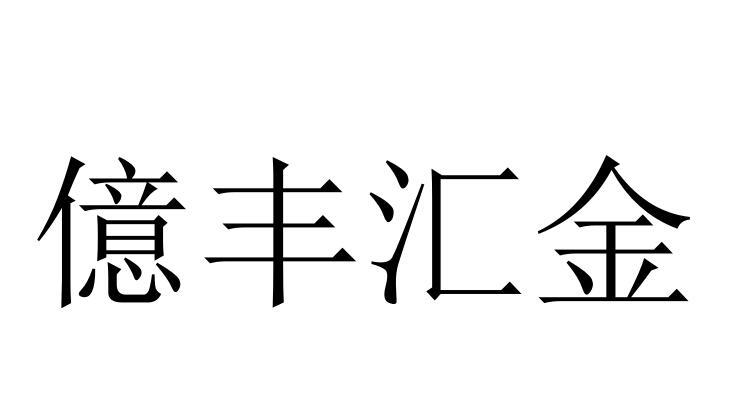 亿丰汇金