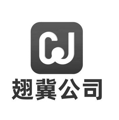 翅冀公司